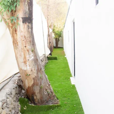 Sebastian Θέρετρο 2*